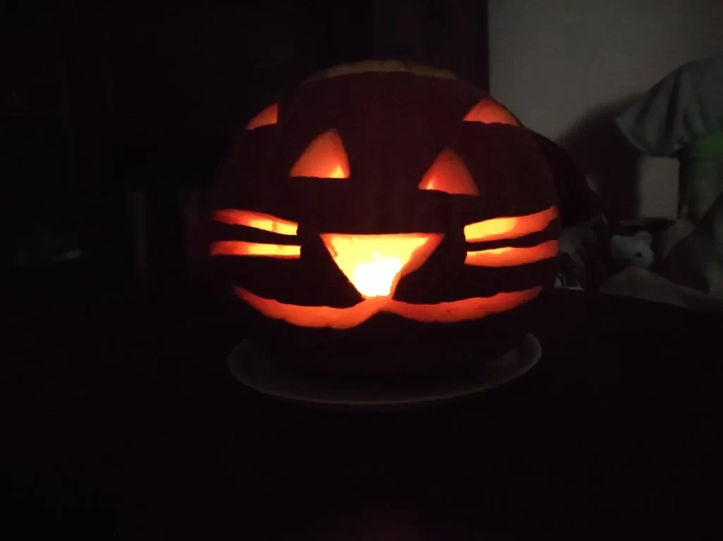 The Halloween cat pumpkin.