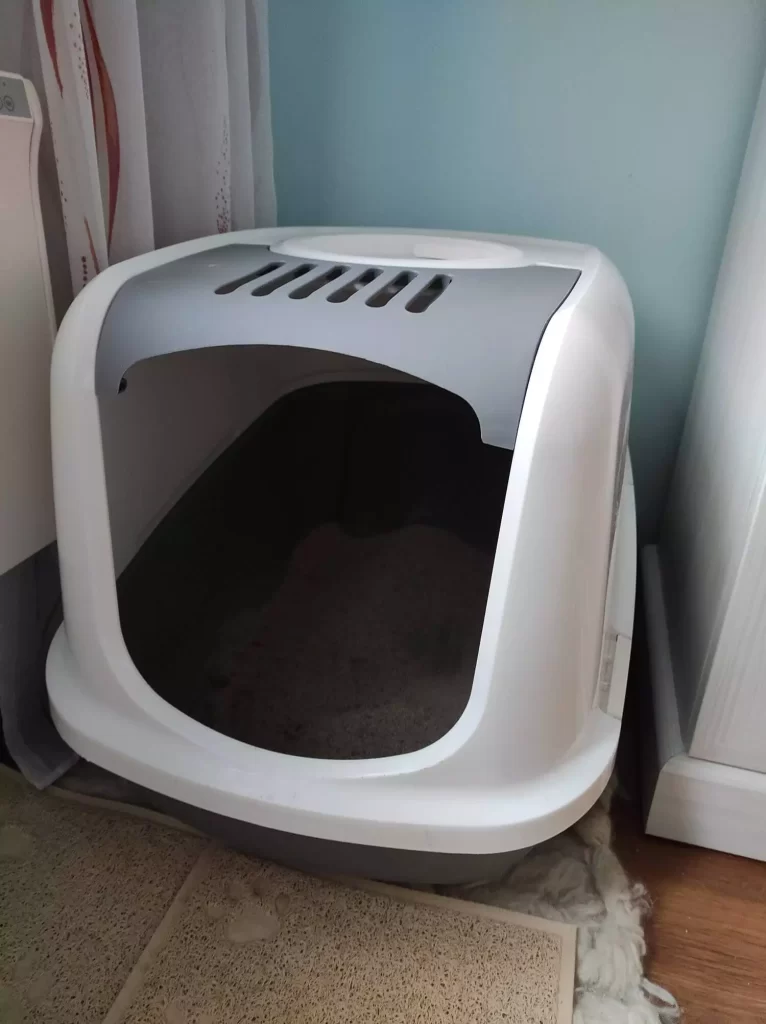 Covered cat litter box without its door.